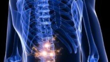 Aussie researchers in promising spinal cord discovery