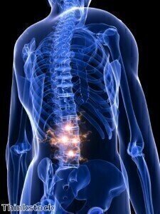Aussie researchers in promising spinal cord discovery