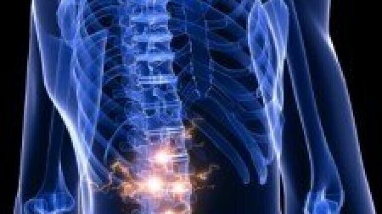 Aussie researchers in promising spinal cord discovery