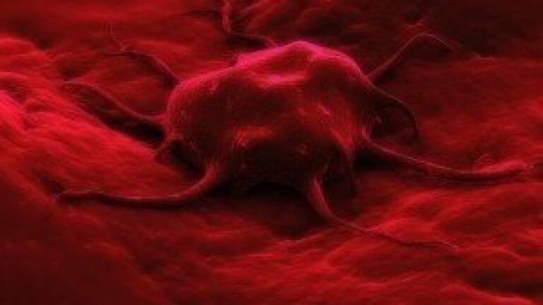 Baxter International shows commitment to advanced biological research and development