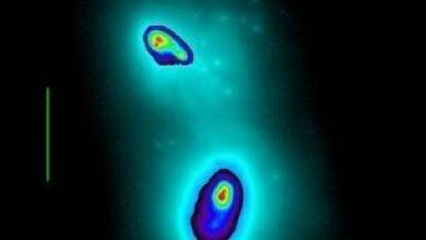 Simulations reveal "flashy" secrets of merging black holes