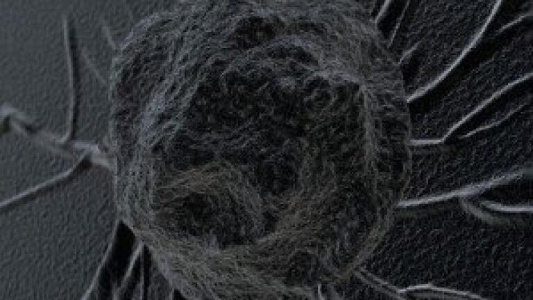 Identification process of cancer cells is now safer and simpler