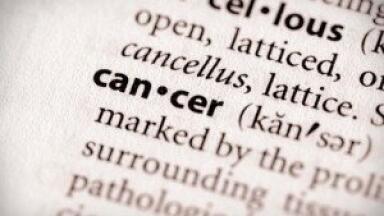 Inner workings of antibody found, may help cancer sufferers