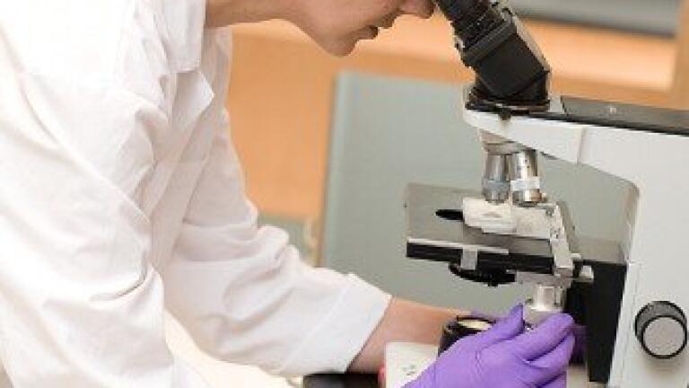 Stanford scientists develop new fluorescence imaging technique