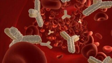 Adimab extends partnerships with Merck and Lilly