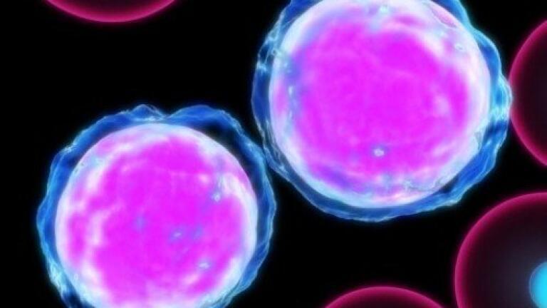 Exercise could reduce male prostate cancer risk, expert says