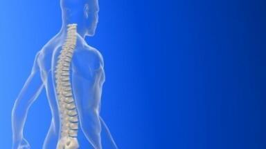Multiple Sclerosis care project forms alliance for new treatments