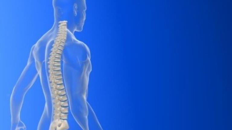 Multiple Sclerosis care project forms alliance for new treatments