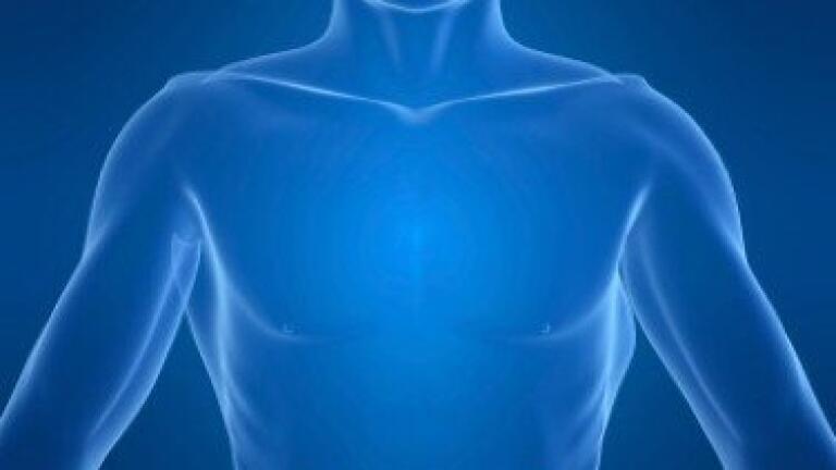 Bladder function restored in rats through new clinical trial