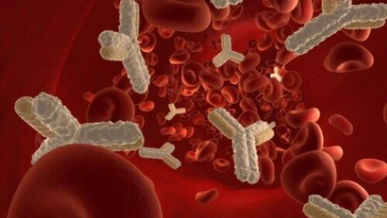 Cancer drug could provide immune therapy for Parkinson's disease sufferers