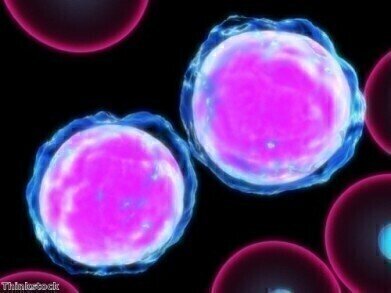 Cause of cancer cell growth identified
