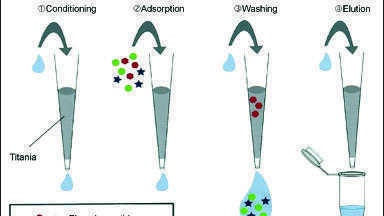 Phosphopeptide and Non-Phosphorylated Peptide Purification and Enrichment