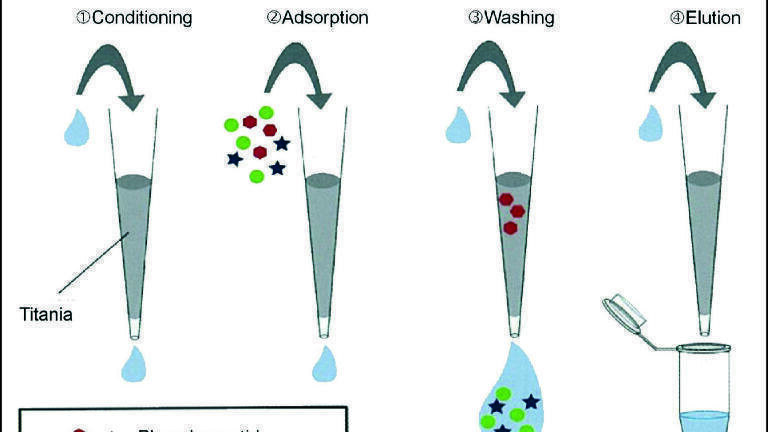 Phosphopeptide and Non-Phosphorylated Peptide Purification and Enrichment