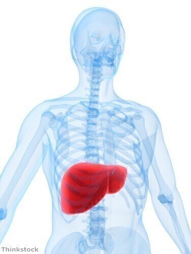 New imaging technique can detect liver disease