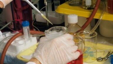 Synthetic protein could help with HIV vaccine development