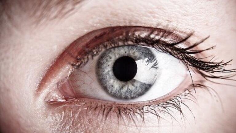 Preclinical eye surface disease treatment trials prove successful