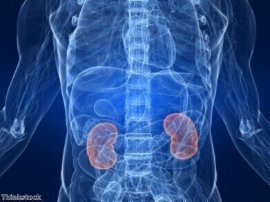 Epigenetic changes boost understanding of chronic kidney disease