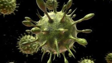 Researchers identify weapon against viral infection