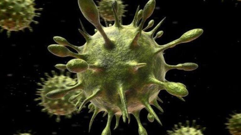 Protein discovered that triggers immune response to viruses