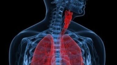 Working lung cells grown from stem cells