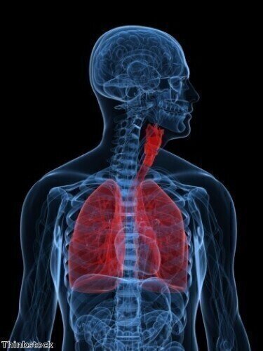 Working lung cells grown from stem cells