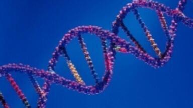 Gene expression found to be regulated by certain protein