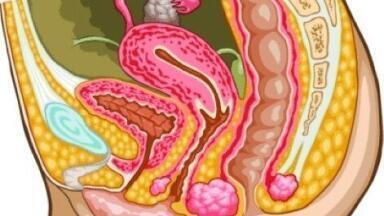 HPV testing could allow for more time between cervical screening