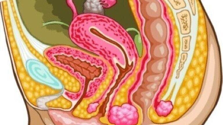 HPV testing could allow for more time between cervical screening
