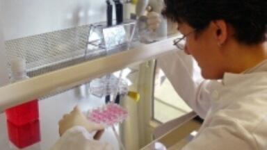 Scientists find quick way of creating stem cells
