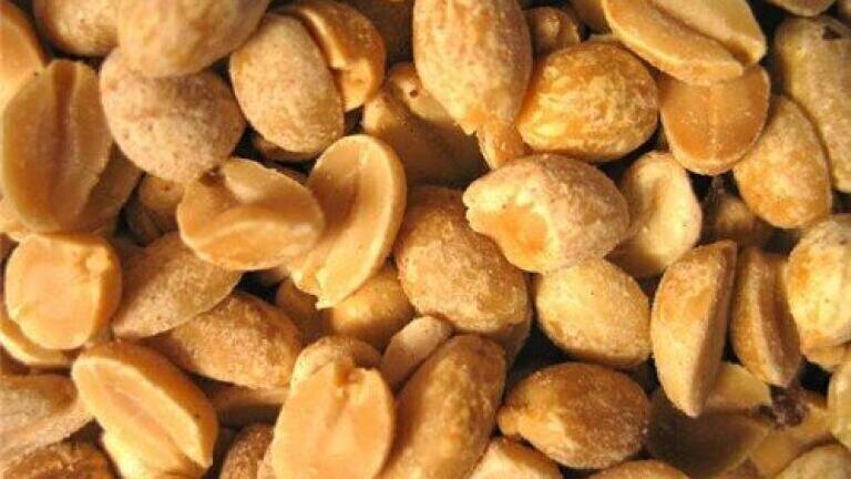 Immunotherapy could help children with peanut allergy