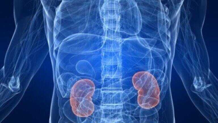 Kidney cancer vaccine phase III trial to begin