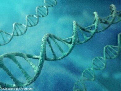 'Gene editing' shows positive results against HIV