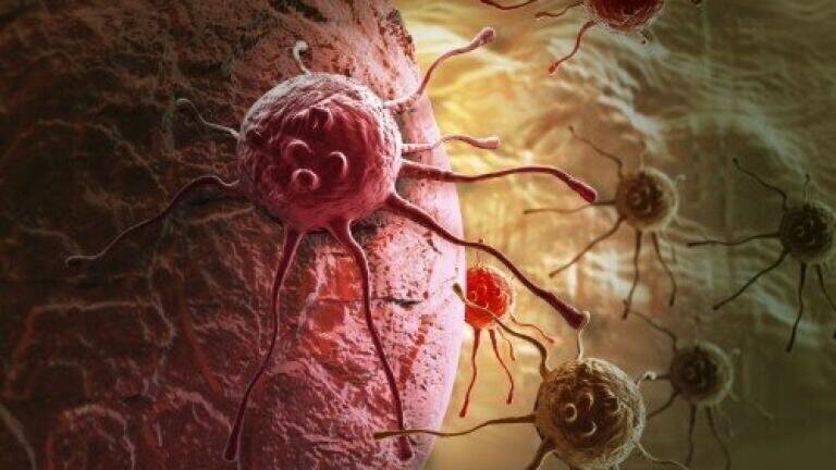 Researchers block enzymes to slow cancer growth