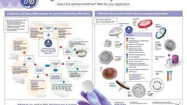 Take Filtration Quiz and order the free Whatman™ Filtration Poster
