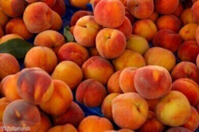 Peaches 'inhibit breast cancer metastasis'