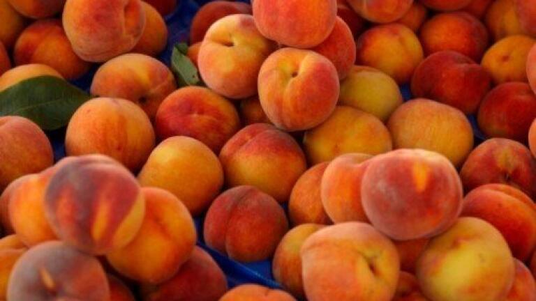 Peaches 'inhibit breast cancer metastasis'