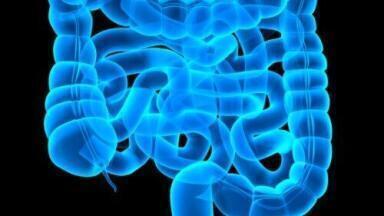 Stool sample smells used to identify bowel diseases