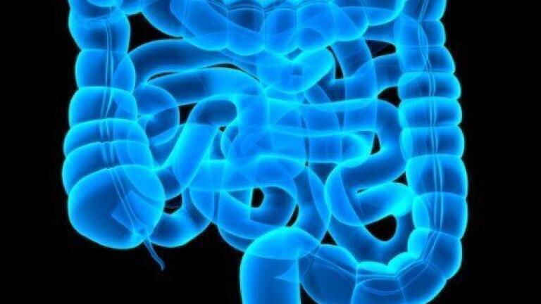 Stool sample smells used to identify bowel diseases
