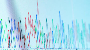What is a Chromatogram?