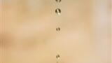 The application of chromatography-mass spectrometry to environmental water analysis