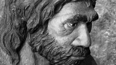 Did Neanderthals Eat Vegetables?