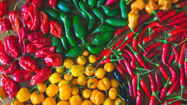 Some Like It Hot! How to Measure a Chilli’s Heat