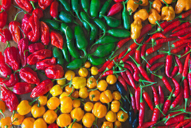 Some Like It Hot! How to Measure a Chilli’s Heat
