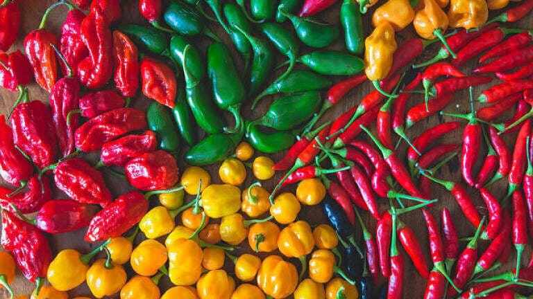 Some Like It Hot! How to Measure a Chilli’s Heat