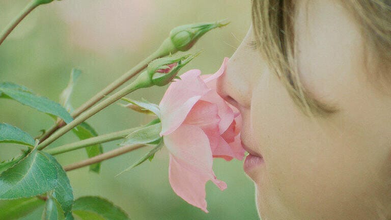 Gas Chromatography or the Human Nose — Which Smells Better?