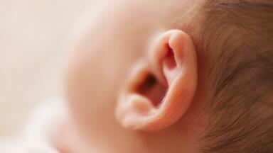 What Can We Learn from Earwax? Chromatography Explores Your Ears!