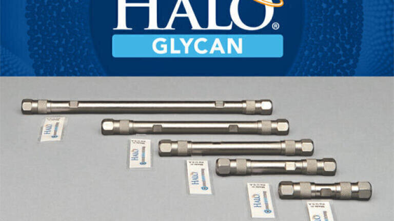 HALO Glycan LC Columns for oligosaccharides, including protein-linked glycans and glycopeptides