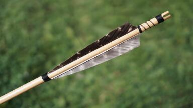 Poison was Used 30,000 Years Ago! Chromatography Investigates