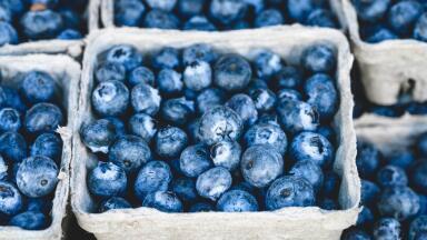 Can Post-Traumatic Stress Disorder Be Treated with Blueberries?