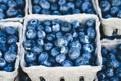 Can Post-Traumatic Stress Disorder Be Treated with Blueberries?